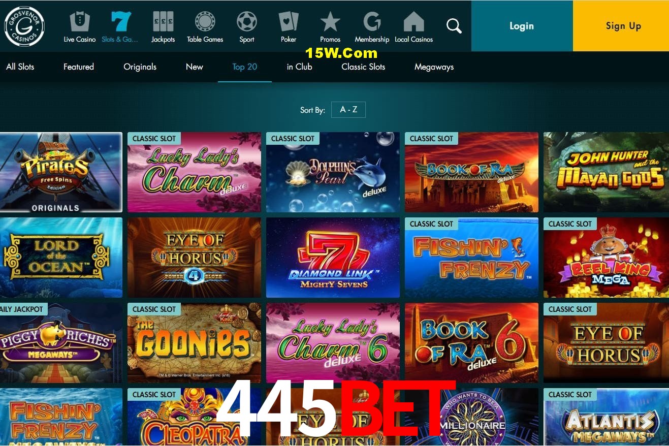 Experiência VIP 445Bet